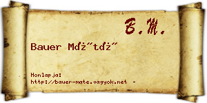 Bauer Máté névjegykártya